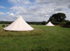 Bell Tents in the Wildflowers